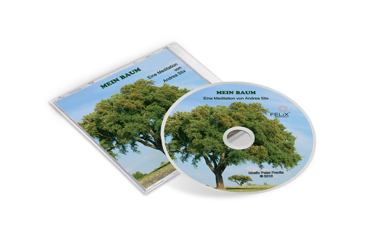 Meditation: Mein Baum