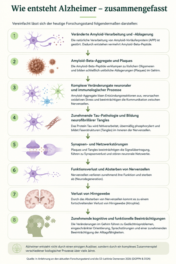 Entstehung Alzheimer