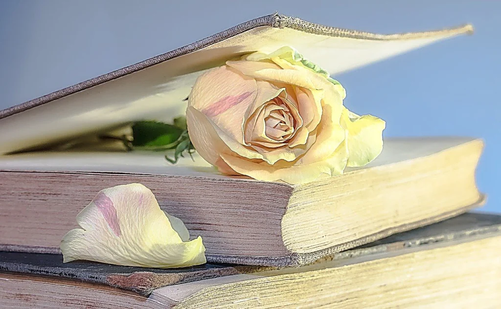 Bücher