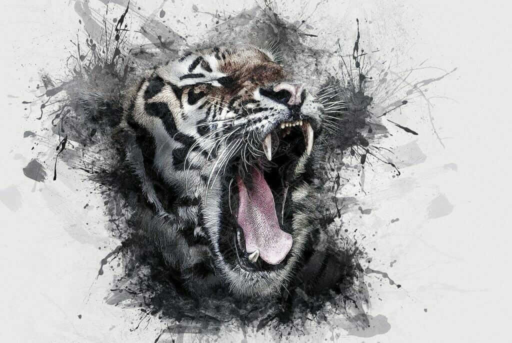 Brüllender Tiger mit gefletschten Zähnen als künstlerische Illustration, Symbolbild für Aggression